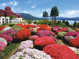 山のホテルつつじ庭園(開花時のみ)