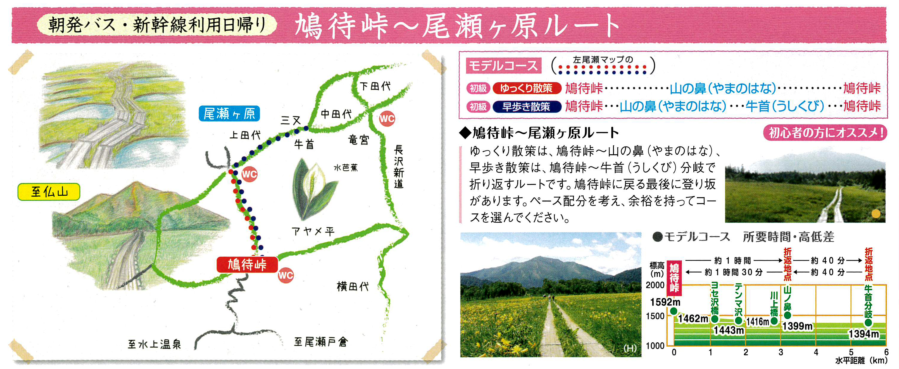 尾瀬ヶ原