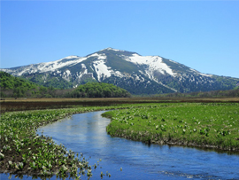 尾瀬ヶ原