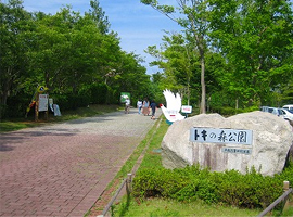 トキの森公園