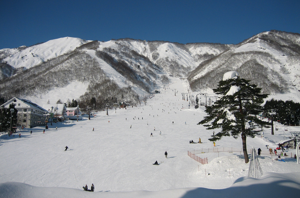 白馬五竜＆Hakuba47スキー場